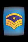 Master Chief Petty Officer - GSN