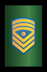 Regimental Sergeant Major - RMA