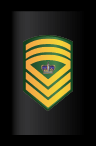 Regimental Sergeant Major