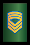 Sergeant Major - RMA
